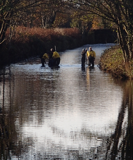 Field surveys for Atlantic salmon