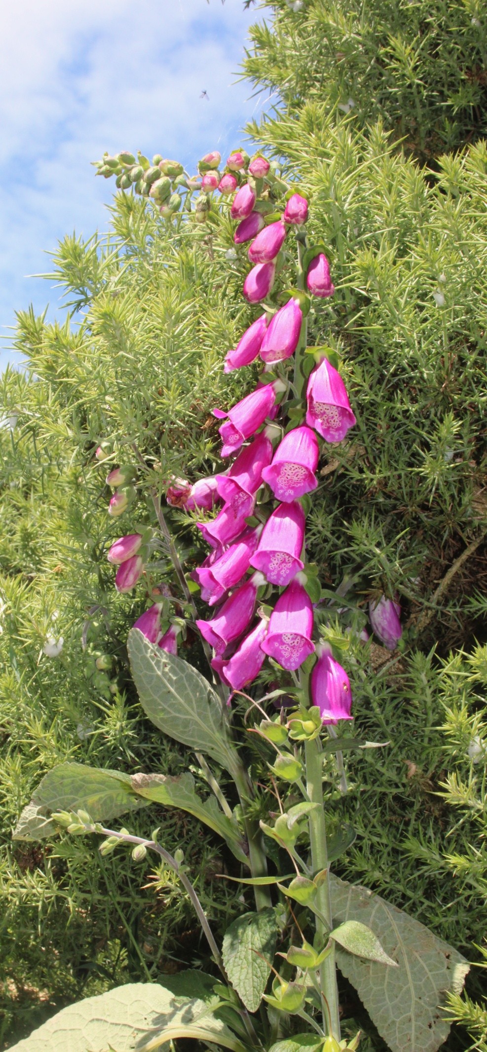 Wildlife and habitat photo