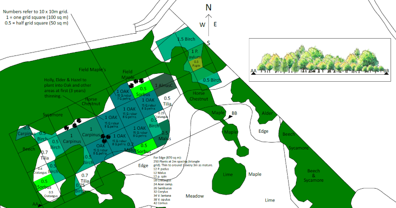 Woodland development plan